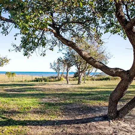 Natura 6p By Interhome * Santa-Maria-Poggio (Corsica)
