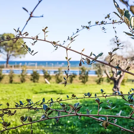 Prázdninový dům Natura 6p By Interhome Santa-Maria-Poggio (Corsica)