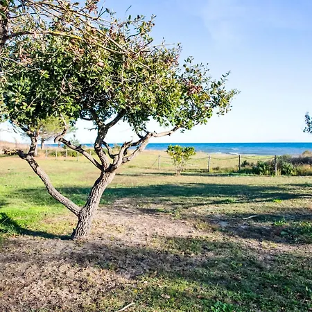 Prázdninový dům Natura 6p By Interhome Santa-Maria-Poggio (Corsica)