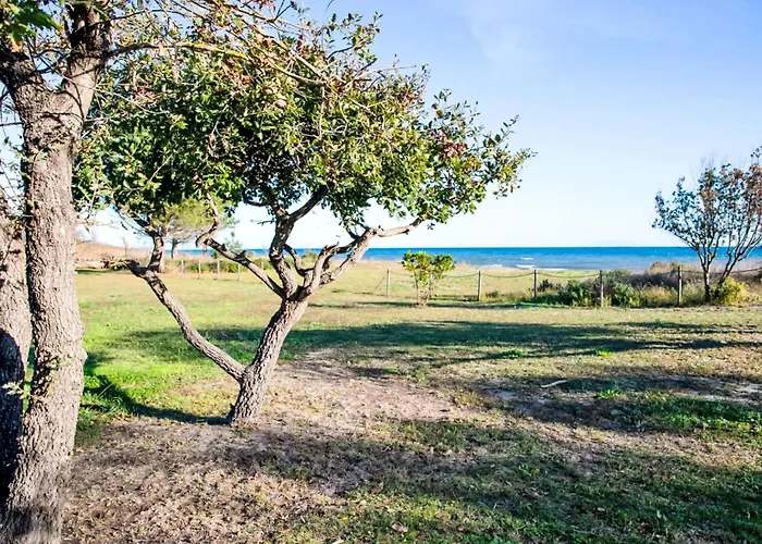 בית נופש Natura 6p By Interhome Santa-Maria-Poggio (Corsica)